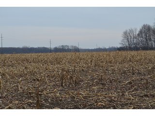Property photo 34 - LAND AUCTION, 77 Acres offered in 3 Tracts